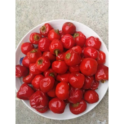 散装样品泡红圆椒 圆泡椒 2斤装川菜馆用重庆厂家图4