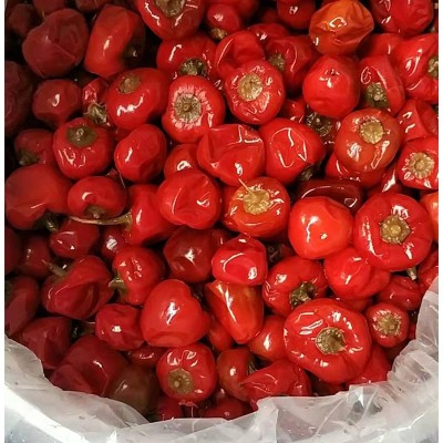 散装样品泡红圆椒 圆泡椒 2斤装川菜馆用重庆厂家图3