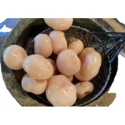 三农食品厂价批发泡菜老坛泡萝卜餐馆酒店40kg/件图4