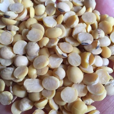 脱皮黄豆掰黑豆掰各种等级规格常年供应黄豆黑豆瓣图4