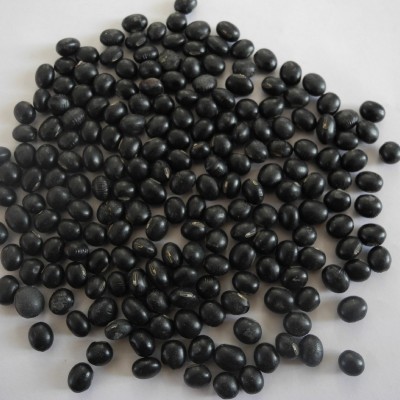 2025年新货上市出口级黄仁黑豆，函馆光8.0-9.0mm，质优价美