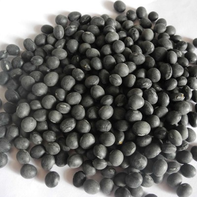 2025年新货上市出口级黄仁黑豆，函馆光8.0-9.0mm，质优价美图2