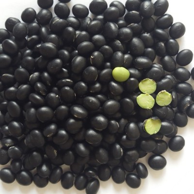 2025年新货上市出口级黄仁黑豆，函馆光8.0-9.0mm，质优价美图5