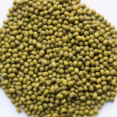 发芽用绿豆出口级标准供应芽豆厂发芽率高好绿2025新货