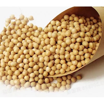 蛋白素肉丝拉丝厂家现货直供餐饮食材原料高蛋白植物蛋白图3