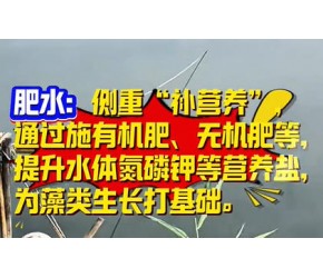 鱼虾养殖水体培藻和肥水的区别是什么？