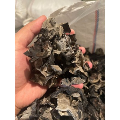 黑龙江东宁黑木耳南北干货农产品 秋木耳大量批发 一件代发图5