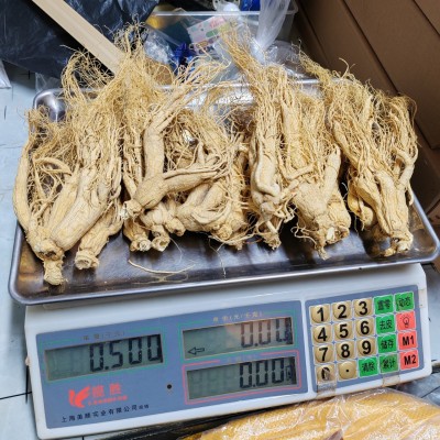 人参干人参园参长白山人参20头25克净重形体差点适合家用