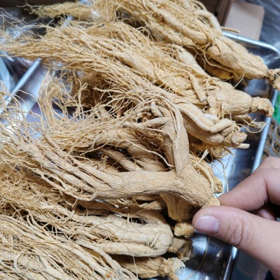 人参干人参园参长白山人参20头25克净重形体差点适合家用图5