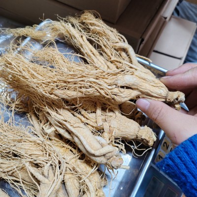 人参干人参园参长白山人参20头25克净重形体差点适合家用图4