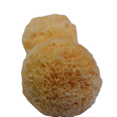 鑫榕钰 古田银耳金黄色丑耳糯耳银耳干货丑耳统货源头厂家批发图5