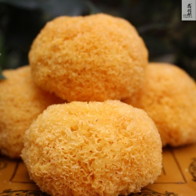 鑫榕钰 古田银耳金黄色丑耳糯耳银耳干货丑耳统货源头厂家批发