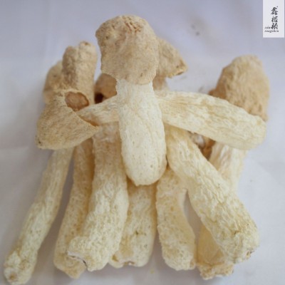 古田新货竹荪球干货500g农家货菌菇火锅食材厂家直供可定制图4