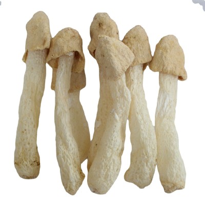 古田新货竹荪球干货500g农家货菌菇火锅食材厂家直供可定制图5