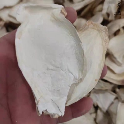 鑫榕钰福建古田特产杏鲍菇干片切片杏鲍菇菌汤包火锅料厂家批发图3