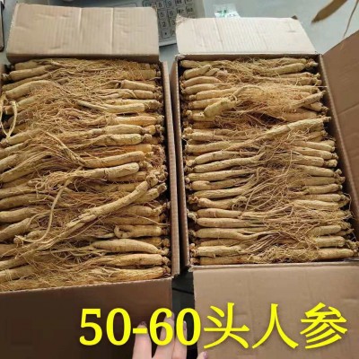 生晒参 白参 东北人参 长白山人参 园参 全须 500g 高丽参图4