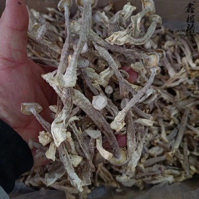 鑫榕钰 鹿茸菇干货小条细条菌汤包火锅食材原料500克批发图4