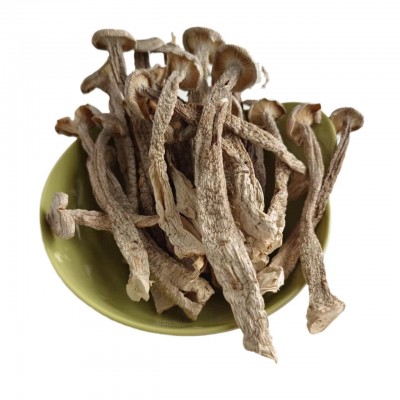 鑫榕钰 鹿茸菇干货小条细条菌汤包火锅食材原料500克批发图5