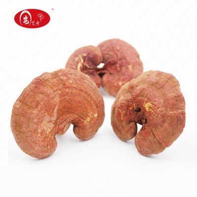 安芝堂大别山椴木赤灵芝自产自销可切片长白山灵芝红灵芝图4