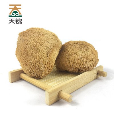 天锦有机猴头菇100g牛皮纸袋东北特产猴头菇干货 厂家直发图4