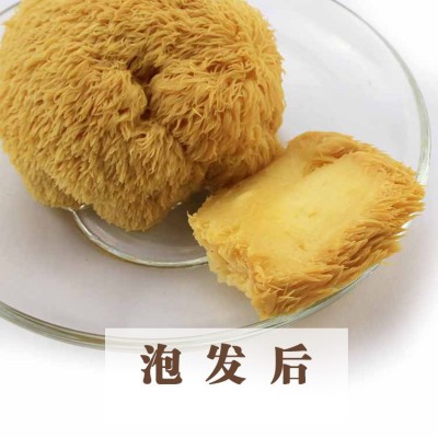 天锦有机猴头菇250g有机食品东北干货猴头菇猴头蘑大兴安岭特产图3