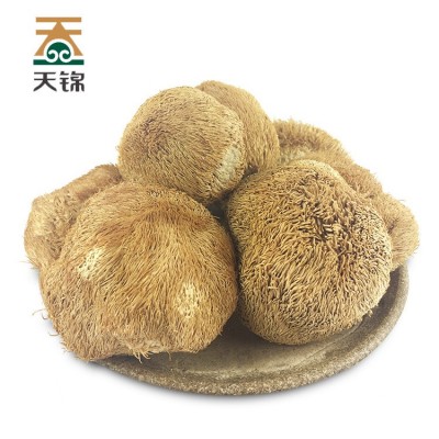 天锦有机猴头菇250g有机食品东北干货猴头菇猴头蘑大兴安岭特产图5