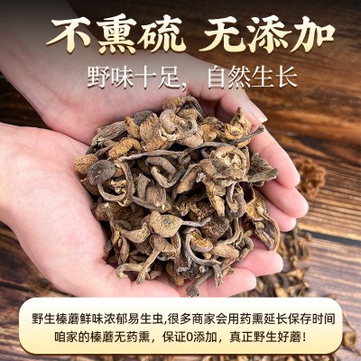 新货长白山特产级野生榛蘑东北小鸡炖蘑菇丁干货无根去根500g图5