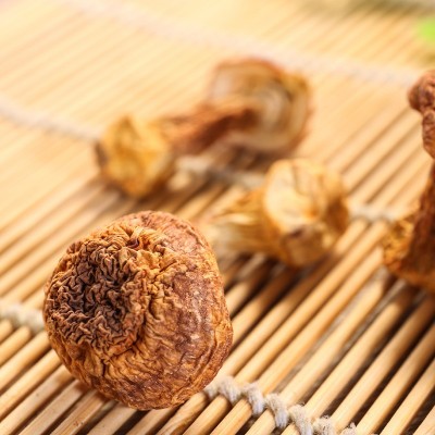 东北特产松茸姬松茸松茸菇一件代发批发包邮图3