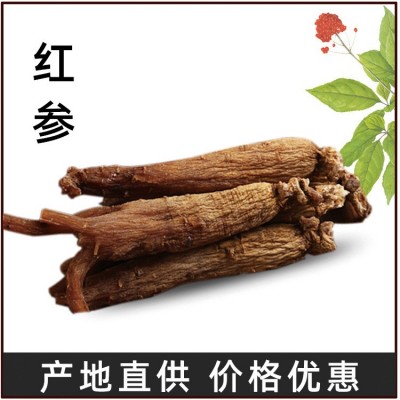 长白山红参现货红参500g光支红参条煲汤送礼东北特产红参厂家批发