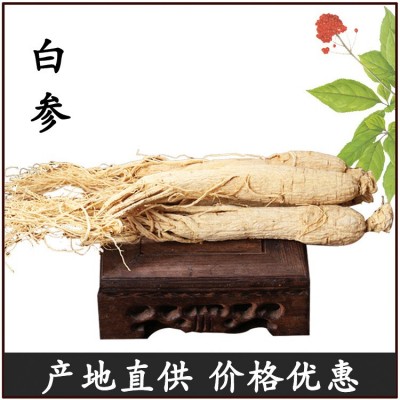 东北特产白参 长白山人参 白全须500克装6年泡酒煲汤白参现货批发