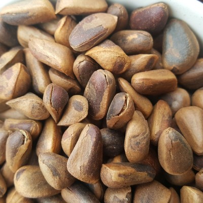 新原味东北伊春野生开口大红松子坚果休闲零食手剥新炒香脆现炒图4