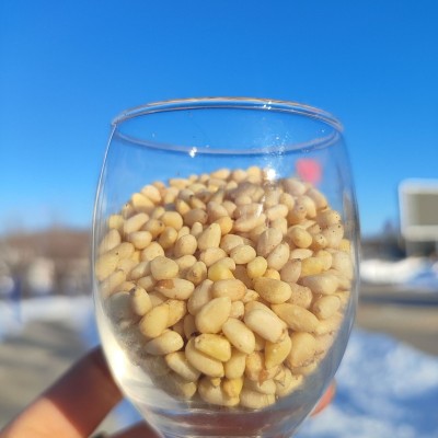 东北大兴安岭野生马尾松仁原味晏松子仁250g坚果未加新特产坚果图3