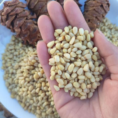 东北大兴安岭野生马尾松仁原味晏松子仁250g坚果未加新特产坚果图2