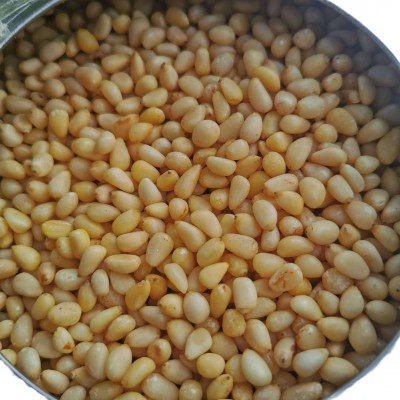 东北大兴安岭野生马尾松仁原味晏松子仁250g坚果未加新特产坚果图5