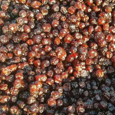 东北大兴安岭野生红豆果干原味散装蔓越莓干优惠图5