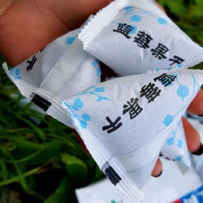 新款厂家现货大兴安岭醉山村原味大粒蓝莓果干零食三角包250克图3