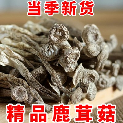 鹿茸菇干货鹿茸菌非特级脆脆菇煲汤食材干锅长白山干菜类干货大全图2