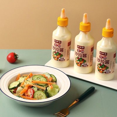 沙拉酱瓶装凉拌果蔬酱拌料寿司番茄沙司三明治酱料挤压瓶批零代发图2
