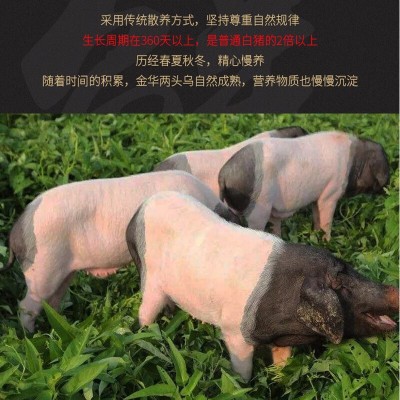 两头乌金华火腿年货礼盒送礼高端商务礼盒端午送礼品地方名特产图4