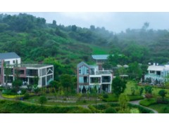 韩俊：要发挥农业的多种功能，乡村的多元价值