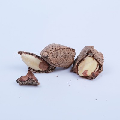 盐焗味鲍鱼果沙漠果含硒坚果批发孕妇儿童零食新货健康原味鲍鱼果