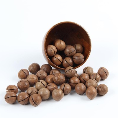 年货货奶油味夏威夷果送开壳器包邮夏威夷果坚果批发新年干果零食图5