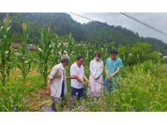 北京涉农区招募400名乡村振兴骨干人才