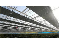 鲁甘协作花满枝 结出乡村振兴果