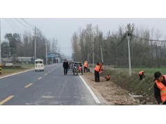 商丘市梁园区王楼镇：开展秋冬人居环境整治 绘就美丽乡村新底色