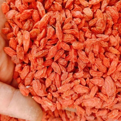 枸杞 中颗粒中药材500g红枸杞子茶 枸杞干果现货批发包邮一件代发图2