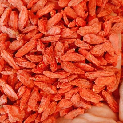 枸杞 中颗粒中药材500g红枸杞子茶 枸杞干果现货批发包邮一件代发