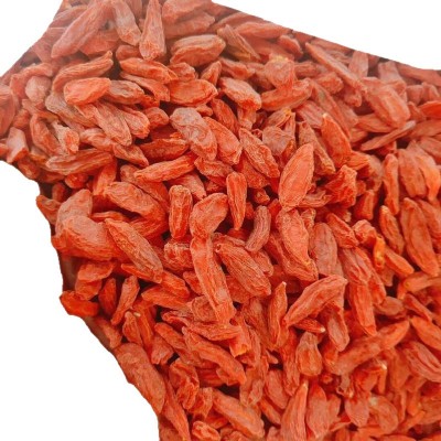 枸杞 中颗粒中药材500g红枸杞子茶 枸杞干果现货批发包邮一件代发图5