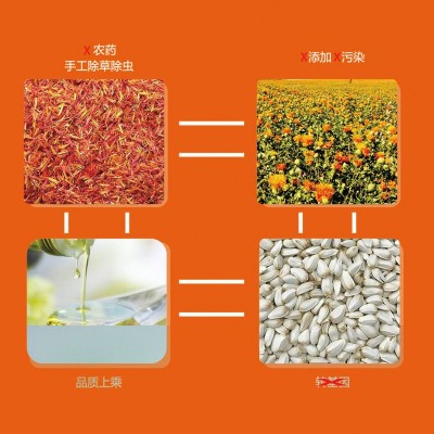 维拓食品红花籽油 冷榨脱蜡 食用油 送礼批发 源头厂家图3