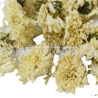 批发七月菊 黄山七月菊花 干菊花茶 精选菊花干花茶源头厂家直销图5